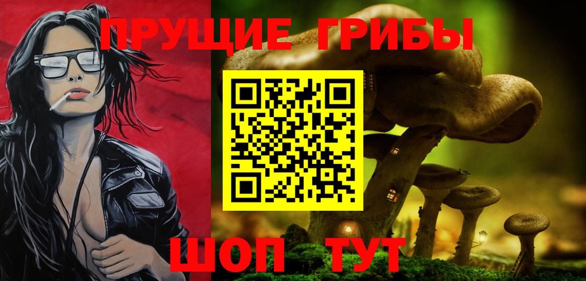 Барнаул  Галлюциногенные грибы Cubensis  Вход с VPN 